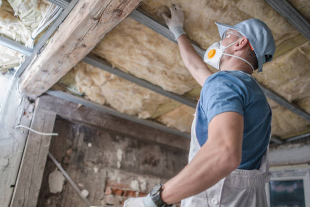 Best Geographic-Specific Insulation Services in Baldwin, GA