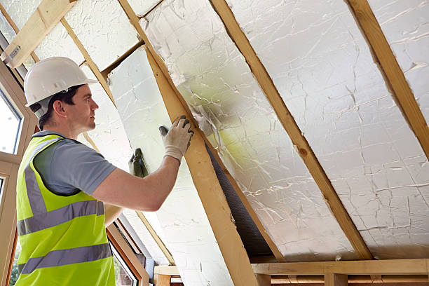 Best Specialized Insulation Services in Baldwin, GA
